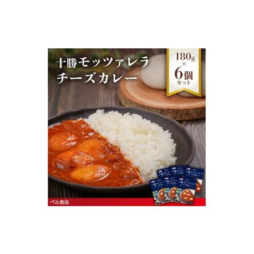 ふるさと納税 惣菜・レトルト 北海道 遠軽町 十勝モッツァレラチーズカレー 180g 6個セットen01-00221
