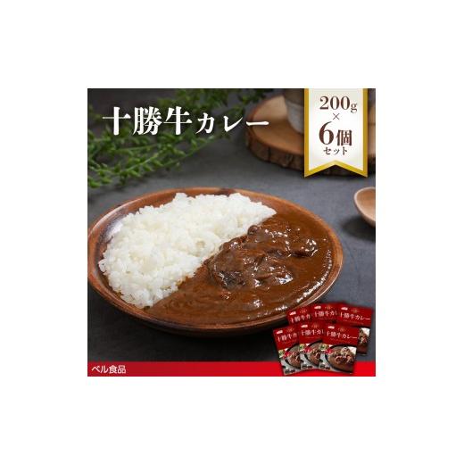 ふるさと納税 惣菜・レトルト 北海道 遠軽町 十勝牛カレー 200g 6個セットen01-00223