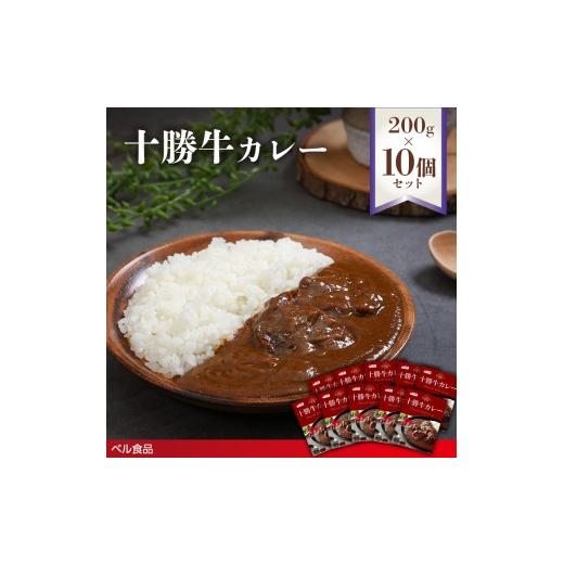 ふるさと納税 惣菜・レトルト 北海道 遠軽町 十勝牛カレー 200g 10個セットen01-00224
