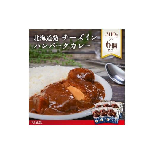 ふるさと納税 惣菜・レトルト 北海道 遠軽町 北海道発チーズインハンバーグカレー 300g 6個セットen01-00235