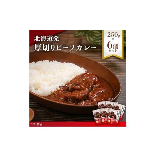 ふるさと納税 惣菜・レトルト 北海道 遠軽町 北海道発厚切りビーフカレー 250g 6個セットen01-00237