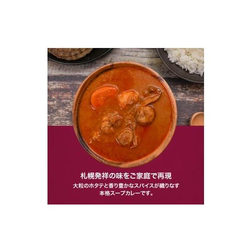 ふるさと納税 惣菜・レトルト 北海道 遠軽町 本場札幌スープカレーホタテ 300g 6個セットen01-00243_1