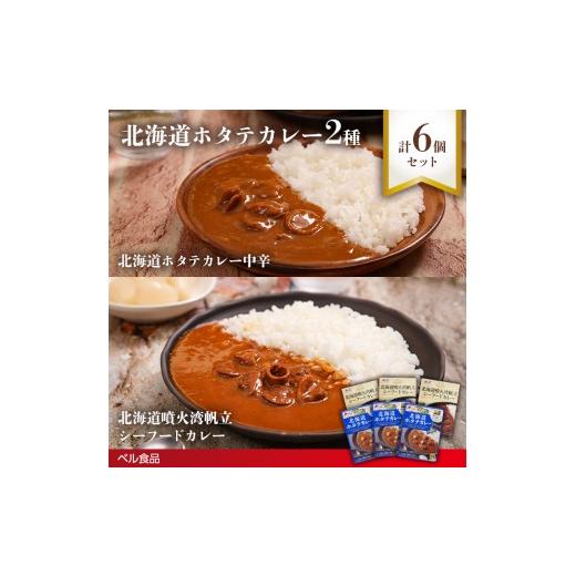 ふるさと納税 惣菜・レトルト 北海道 遠軽町 北海道ホタテカレー2種6個セットen01-00247