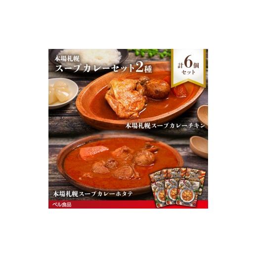 ふるさと納税 惣菜・レトルト 北海道 遠軽町 本場札幌スープカレー チキン・ホタテ 2種 6個セットen01-00250