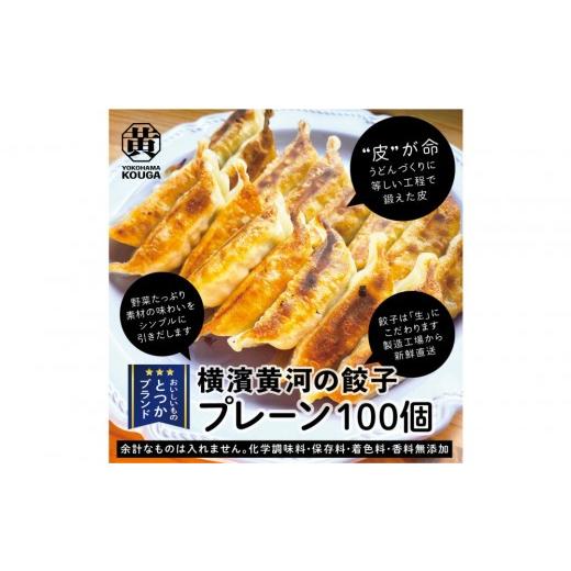 ふるさと納税 惣菜・レトルト 冷凍 神奈川県 横浜市 ぎょうざの横濱黄河 野菜たっぷり 冷凍生餃子 プレーン100個