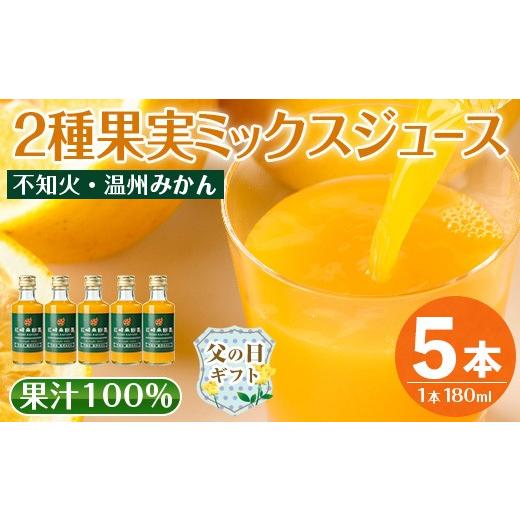 ふるさと納税 果汁飲料 みかん 鹿児島県 出水市 i990-B-f 父の日ギフト 2種果実ミックスジュース(180ml×5本) 飲料 ジュース みかん 蜜柑 果汁 100% 不知火 温…