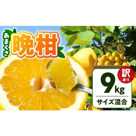 ふるさと納税 果物類 みかん 熊本県 天草市 S097-006_ 訳あり あまくさ晩柑 9kg