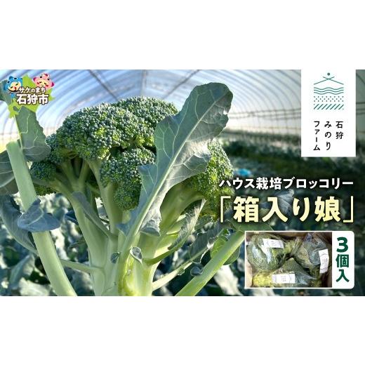 ふるさと納税 野菜類 北海道 石狩市 ハウス栽培 ブロッコリー「箱入り娘」3個入り|野菜 北海道 石狩市