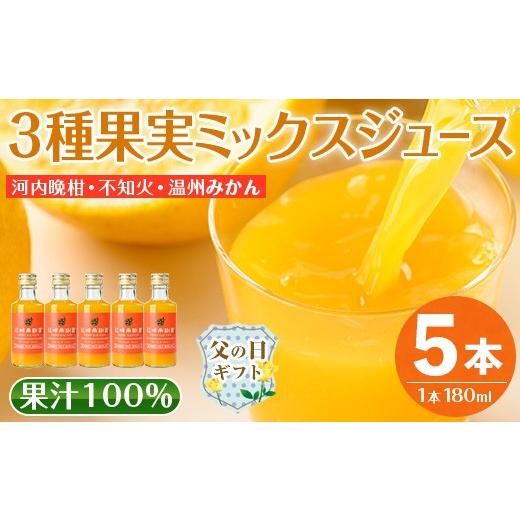 ふるさと納税 果汁飲料 みかん 鹿児島県 出水市 i990-C-f 父の日ギフト 3種果実ミックスジュース(180ml×5本) 飲料 ジュース みかん 蜜柑 果汁 100% 河内晩柑 …