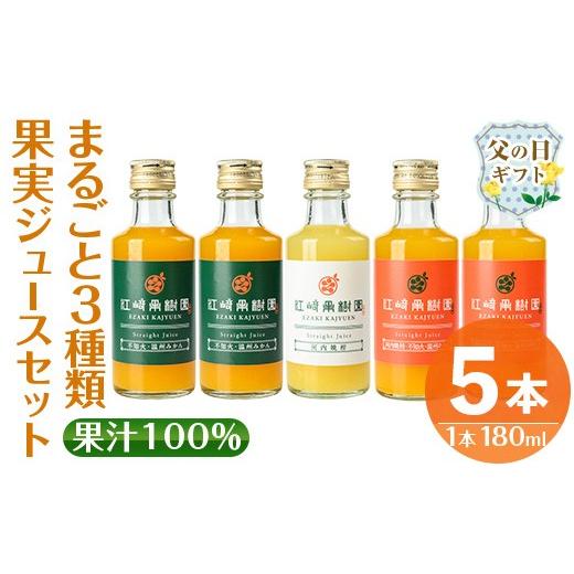 ふるさと納税 果汁飲料 みかん 鹿児島県 出水市 i990-D-f 父の日ギフト まるごと3種類果実ジュースセット(180ml×5本・全3種) 飲料 ジュース みかん 蜜柑 詰…