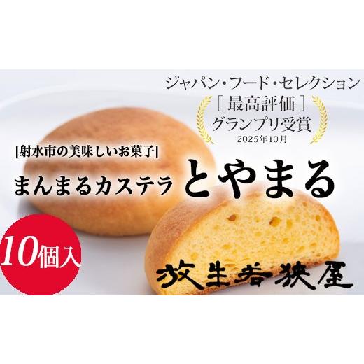 ふるさと納税 ケーキ・カステラ 富山県 射水市 射水の美味しいお菓子 放生若狭屋 まんまるカステラ とやまる 10個入(イナガキヤストデザイン) 離島への配送…