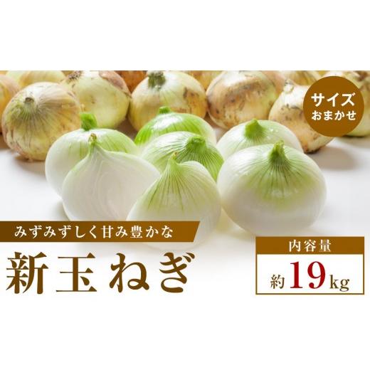 ふるさと納税 野菜類 玉ねぎ 香川県 高松市  2026年3月~5月発送 この時期にしか味わえない、みずみずしく甘み豊かな「新玉ねぎ」 約19kgの画像