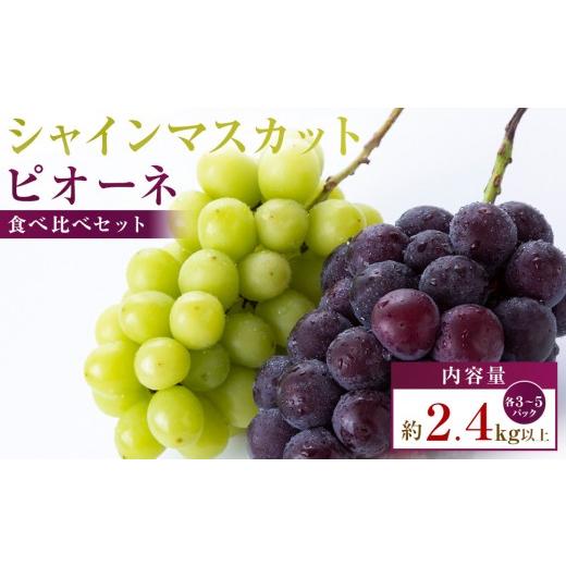 ふるさと納税 ぶどう 香川県 高松市 シャインマスカット+ピオーネ パック食べ比べセット 約2.4kg以上(各3〜5パック)