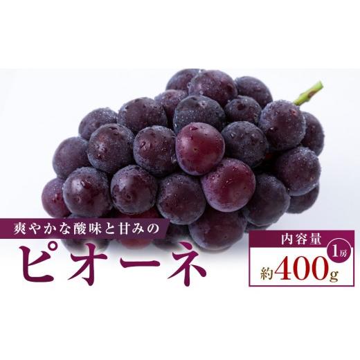 ふるさと納税 果物類 ぶどう 香川県 高松市 お試し用 ピオーネ 約400g