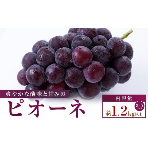 ふるさと納税 果物類 ぶどう 香川県 高松市 小分けパック入り パクパク食べられる・ピオーネパック 約1.2kg以上