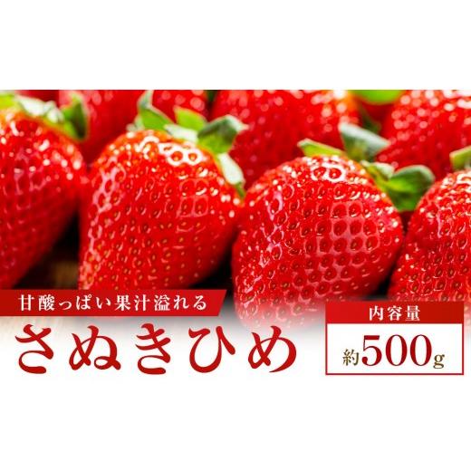 ふるさと納税 いちご 香川県 高松市 食べきりサイズ さぬきひめいちごDXパック 約500g