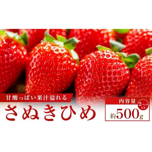 ふるさと納税 いちご 香川県 高松市 大収穫祭・感謝企画 数量限定 さぬきひめいちご 約500g
