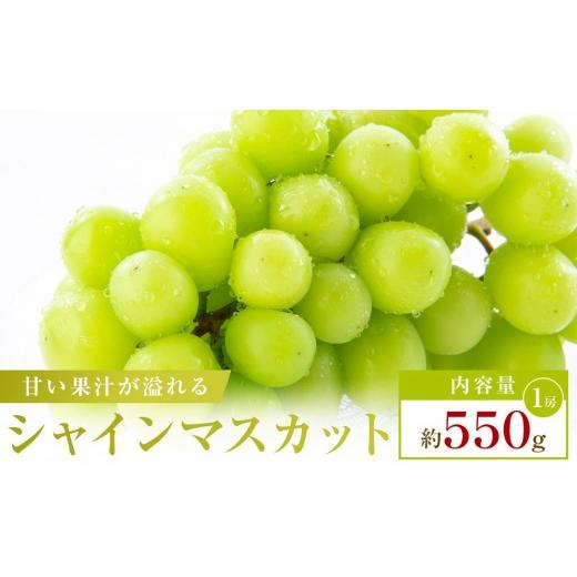 ふるさと納税 ぶどう マスカット 香川県 高松市 お試し用 シャインマスカット 約550g