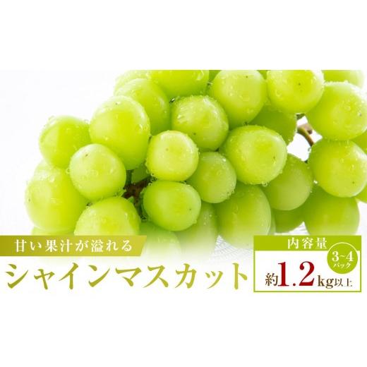 ふるさと納税 ぶどう マスカット 香川県 高松市 小分けパック入り パクパク食べれる・シャインマスカットパック 約1.2kg以上