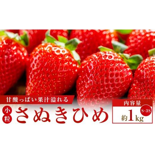 ふるさと納税 いちご 香川県 高松市 期間限定 可愛い丸々小粒さぬきひめいちご 約1kg