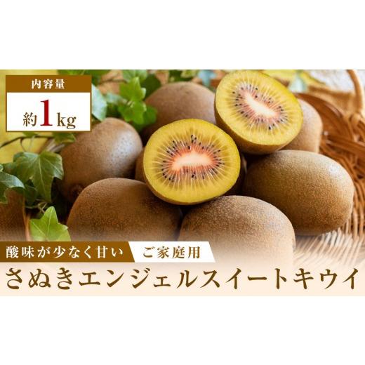 ふるさと納税 果物類 香川県 高松市 ご家庭用さぬきエンジェルスイートキウイ 約1kg