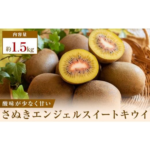 ふるさと納税 果物類 香川県 高松市 [感謝企画] 先行受付2026年 さぬきエンジェルスイートキウイ 約1.5kg