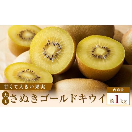 ふるさと納税 果物類 香川県 高松市 数量限定500セット 超大玉さぬきゴールドキウイ 約1kg