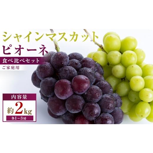 ふるさと納税 ぶどう 香川県 高松市 満足セット ご家庭用 シャインマスカット+ピオーネ食べ比べセット 約2kg(各1〜3房)