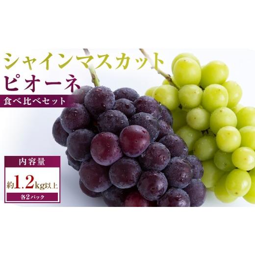 ふるさと納税 ぶどう 香川県 高松市 シャインマスカット+ピオーネ パック食べ比べセット 約1.2kg以上(各2パック)