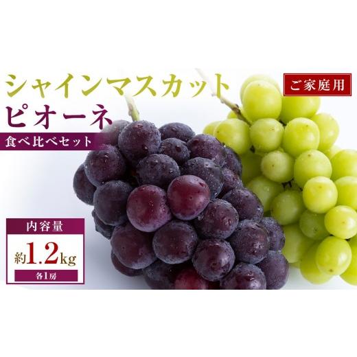 ふるさと納税 ぶどう 香川県 高松市 ご家庭用 シャインマスカット+ピオーネ食べ比べセット 約1.2kg(各1房)