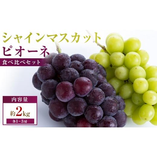 ふるさと納税 ぶどう 香川県 高松市 満足セット 人気の2品種 シャインマスカット+ピオーネ食べ比べセット 約2kg(各1〜3房)