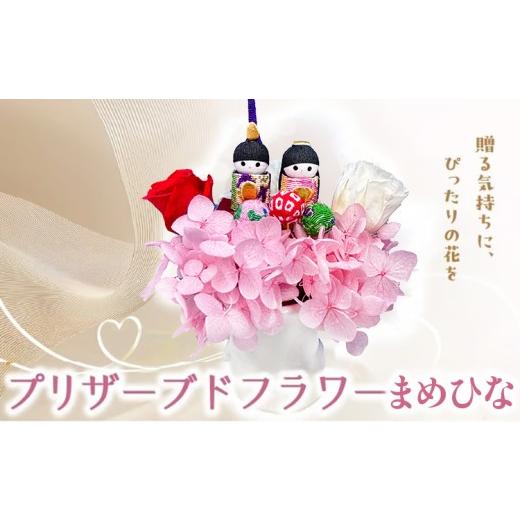 ふるさと納税 雑貨・日用品 花 兵庫県 芦屋市 プリザーブドフラワー まめひな 花 フラワー 天然 国産 ギフト プレゼント ひな祭り ひなまつりお雛様 おひなさ…