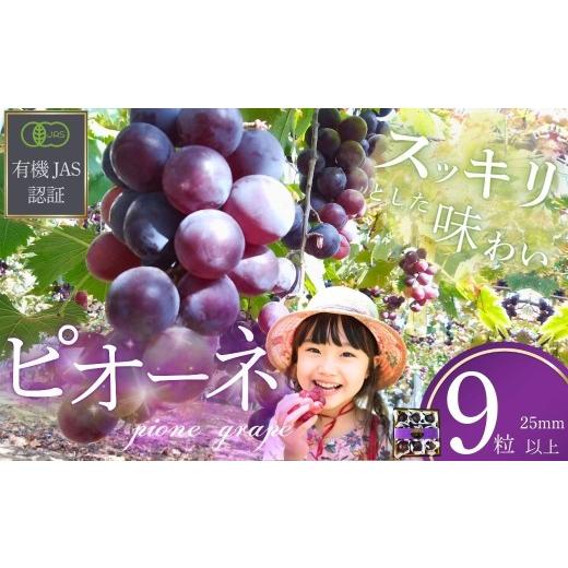 ふるさと納税 ぶどう 山口県 宇部市 ぶどう 先行予約 ぶどうの粒 9粒(直径25mm以上) 2026年産 ぶどう ブドウ 葡萄 ピオーネ ぴおーね ぶどうの粒 粒 果物 く…