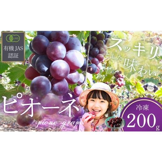 ふるさと納税 ぶどう 山口県 宇部市 ぶどう 先行予約 「冷凍ぶどう」200g 2026年産 ぶどう ブドウ 葡萄 ピオーネ ぴおーね 冷凍ぶどう 冷凍 果物 くだもの ク…