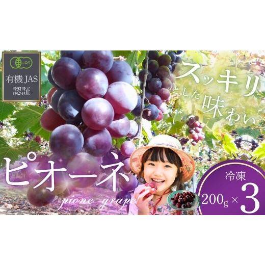 ふるさと納税 ぶどう 山口県 宇部市 ぶどう 先行予約 「冷凍ぶどう」200g×3パック 2026年産 ぶどう ブドウ 葡萄 ピオーネ ぴおーね 冷凍ぶどう 冷凍 果物 く…