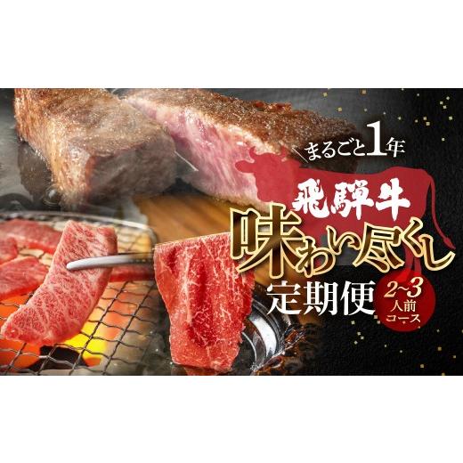 ふるさと納税 牛肉 ステーキ 岐阜県 下呂市 定期便 12回 飛騨牛まるごと1年味わい尽くし定期便(2〜3人前)菊の井 牛肉 牛 飛騨 ブランド牛 国産 ともさんか…