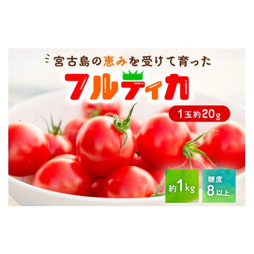ふるさと納税 トマト ミニトマト 沖縄県 宮古島市 PN01 宮古島産 トマト フルティカ 約1kg 糖度8以上