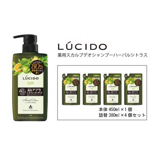 ふるさと納税 美容 兵庫県 福崎町 マンダム ルシード 薬用 スカルプデオ シャンプー ハーバルシトラス 本体1個+詰替4個 MA-77B LUCIDO 整髪料 男性化粧品 本体…