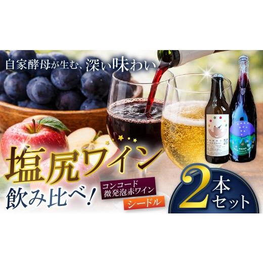 ふるさと納税 お酒 長野県 塩尻市 霧訪山シードル コンコード微発泡赤ワイン&林檎微発砲(シードル) 2本セット | 塩尻ワイン ワイン コンコード りんご 微発…
