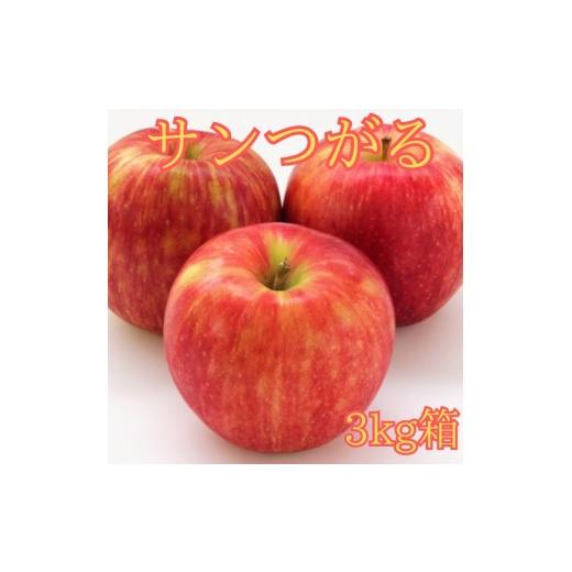 ふるさと納税 りんご 長野県 高森町 サンつがる 3kg箱 8月下旬より発送 長野県 南信州 高森町 りんご