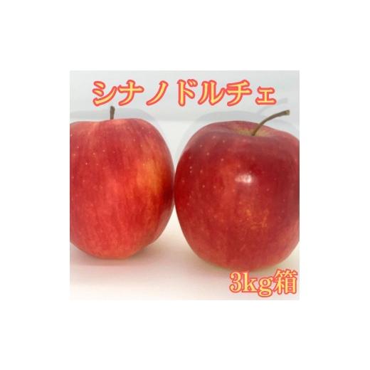 ふるさと納税 りんご 長野県 高森町 シナノドルチェ 3kg箱 9月下旬より発送 長野県 南信州 高森町 りんご
