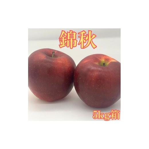 ふるさと納税 りんご 長野県 高森町 錦秋(きんしゅう) 5kg箱 9月下旬より発送 長野県 南信州 高森町 りんご