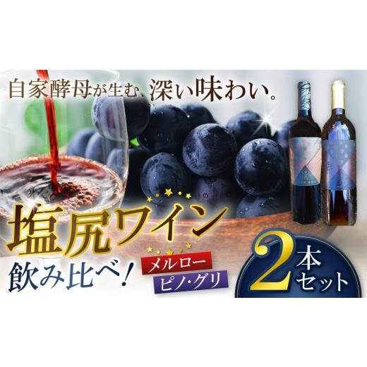 ふるさと納税 ワイン 赤ワイン 長野県 塩尻市 霧訪山シードル ワイン飲み比べ2本セット(メルロー/ピノ・グリ) | 塩尻ワイン ワイン メルロー ピノ・グリ 霧…