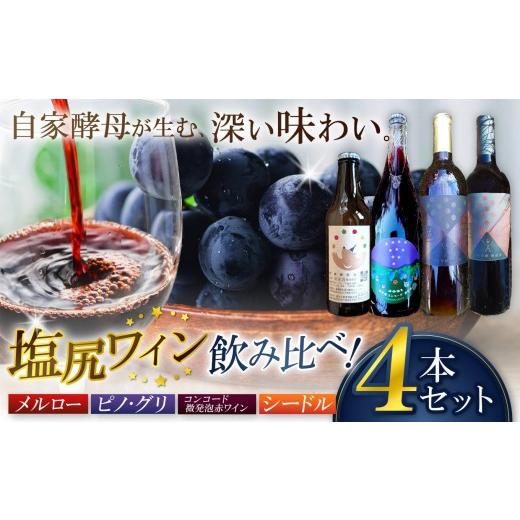 ふるさと納税 ワイン 赤ワイン 長野県 塩尻市 霧訪山シードル 塩尻市産ワイン4本飲み比べセット(メルロー/ピノ・グリ/コンコード/林檎(シードル)) | 塩…