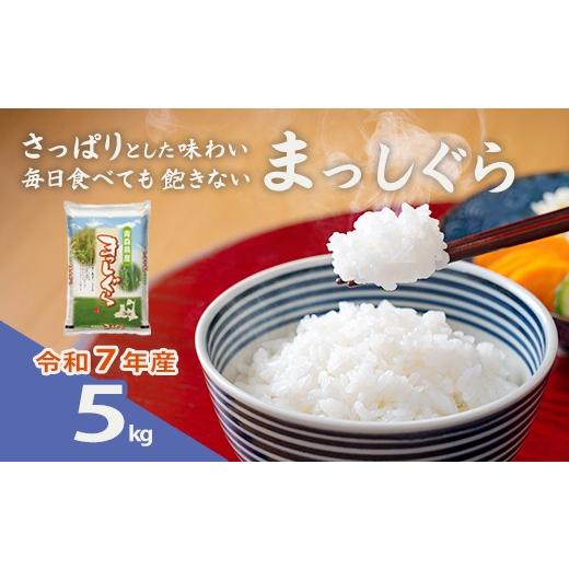 ふるさと納税 米 青森県 東北町 令和7年産 青森県産まっしぐら精米 5kg