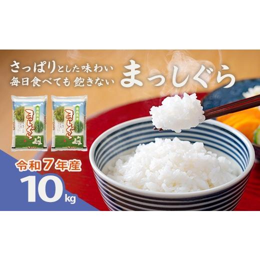 ふるさと納税 米 青森県 東北町 令和7年産 青森県産まっしぐら精米 10kg