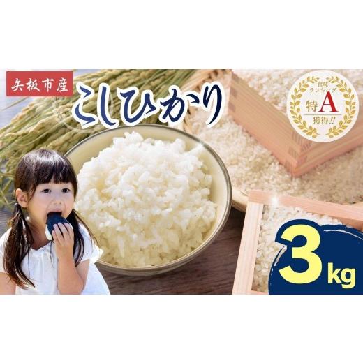 ふるさと納税 米 コシヒカリ 栃木県 矢板市 2026年先行予約 ごはんが主役 矢板市産こしひかり 白米 3kg お米 栃木県 矢板市 こしひかり 3kg | 10,000円