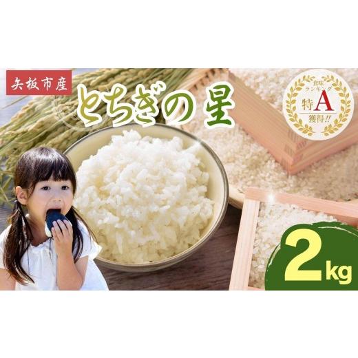 ふるさと納税 米 栃木県 矢板市 2026年先行予約 ごはんが主役 矢板市産とちぎの星 白米 2kg お米 栃木県 矢板市 とちぎの星2kg | 7,500円