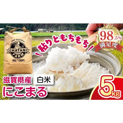 ふるさと納税 米 にこまる 滋賀県 近江八幡市 7年産 近江米にこまる白米5kg V017W1 にこまる 白米 5kg