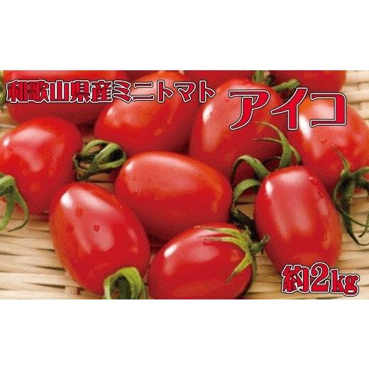ふるさと納税 トマト ミニトマト 和歌山県 かつらぎ町 和歌山産ミニトマト「アイコトマト」約2kg(S・Mサイズおまかせ) 北海道・沖縄・離島地域への配送不可 …